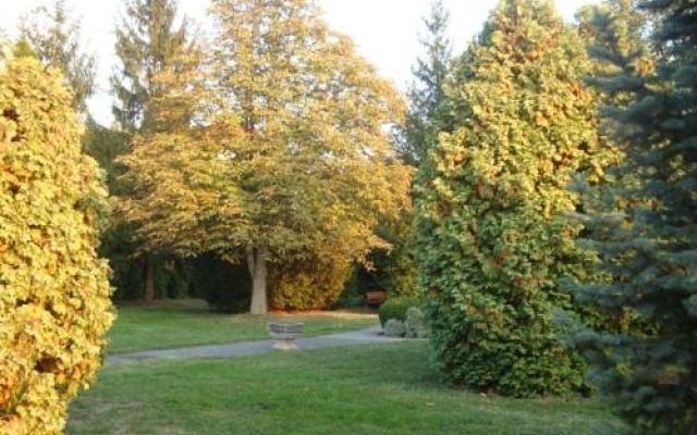 Hotel Napsugár