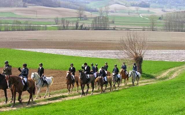 Le Ginestre Alloggio Monferrato