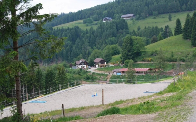 Lovely Apartment in Liebenfels Carinthia near Ski Area