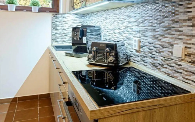 Apartment in Harrachov With Barbecue
