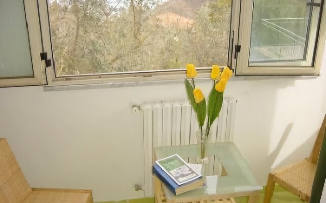 Il Tulipano
