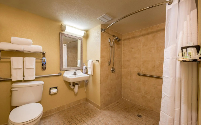 Holiday Inn & Suites Orlando SW - Celebration Area by IHG