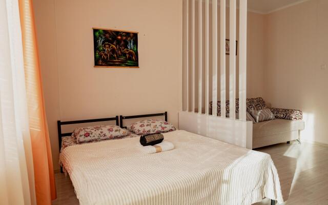 Апартаменты Домино на улице Анны Коньковой