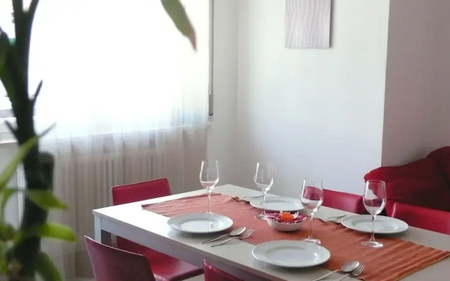 Modern and Elegant Apartments