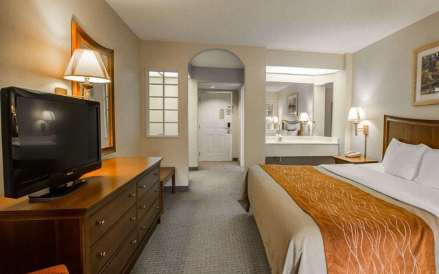 Comfort Inn On The River