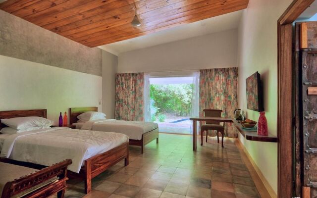 Red Earth Tadoba