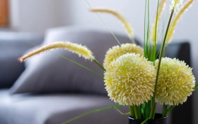 PJagodic Apartments and Wellness