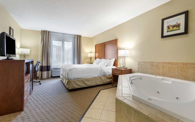 Comfort Inn & Suites Black River Falls I-94