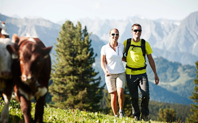 Apartment Klein & Fein