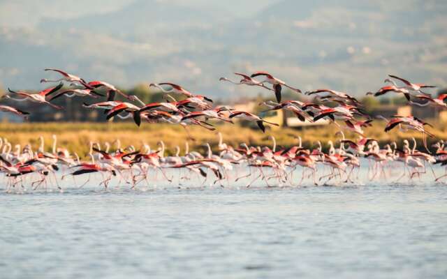 Villa Margherita Crespino