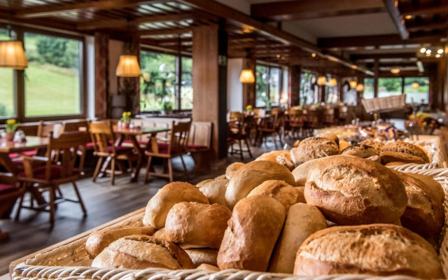 Sauerland Alpin Hotel