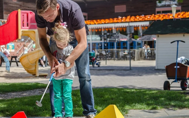 Moder Chalet With a Dishwasher, Behind the Dunes