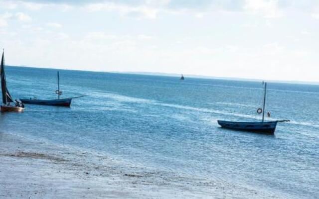 Dolphin Dhow Beach Safaris