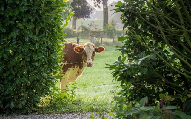 Sallandelijk Bakhuis