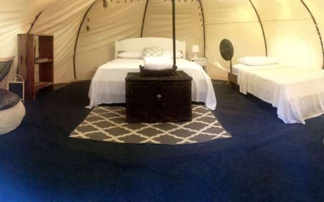Driftwood Glamping and Boutique Hotel