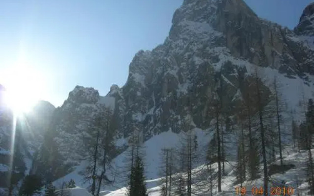 Appartments Helvetia