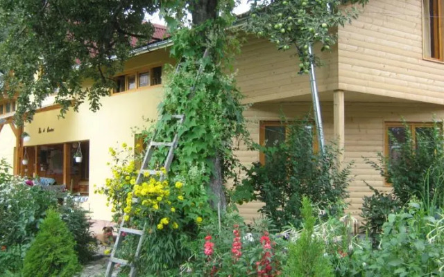 Pension Dor de Bucovina