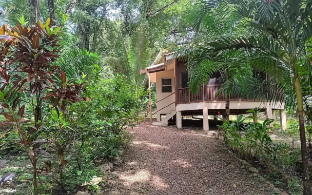 The Cabins at Monkey Fall