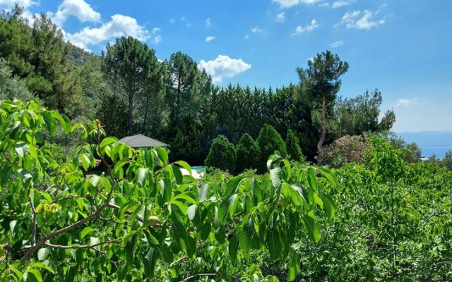 Malikane Luxury Resort