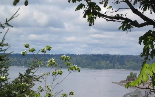 桑德芙住宿加早餐酒店(Soundview Cottage B&B)