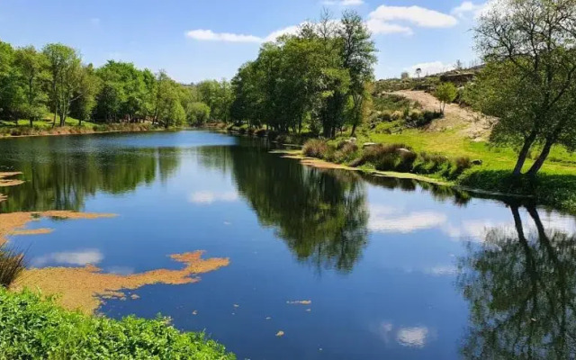 Azevinho Guest House