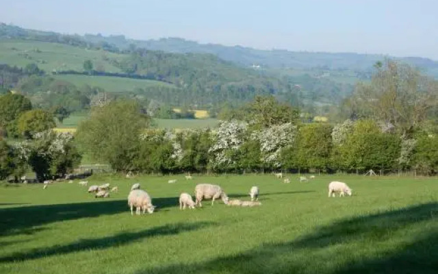 The Farm Snead Bed & Breakfast