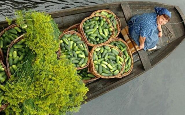 Apartment SL Lounge, Luebben