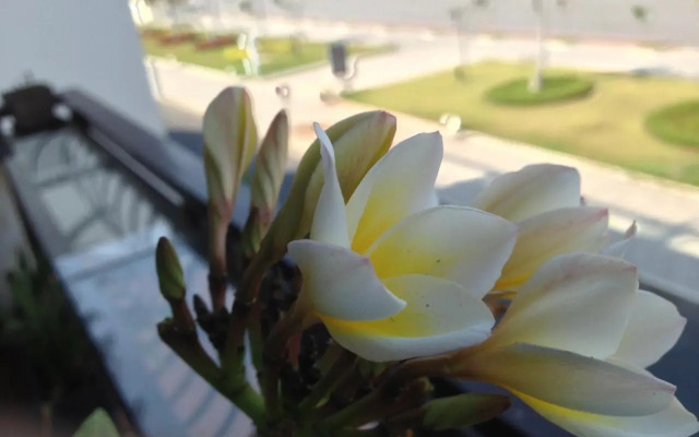 171 NewSeason Hotel