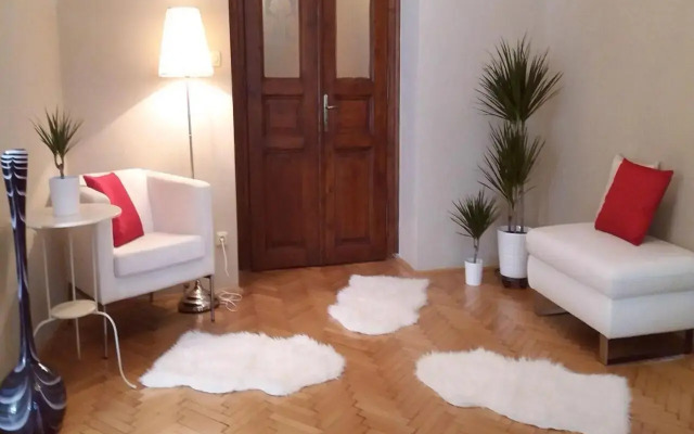 Spacious 3BDR Wenceslas Square