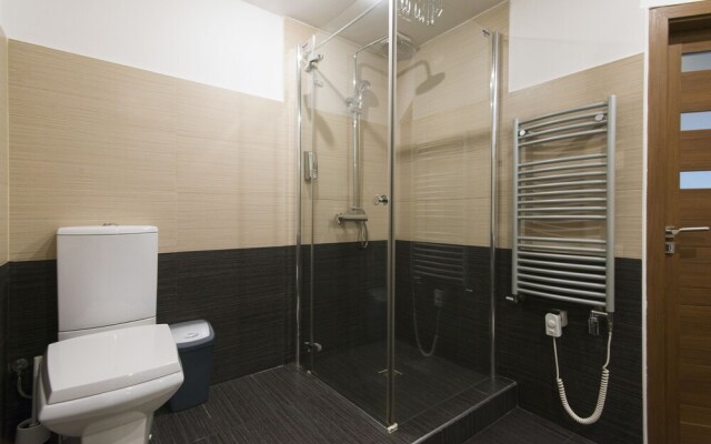 Spacious apartment near Wenceslas Square