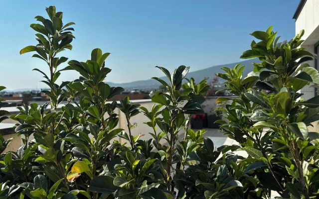 Blue Star Luxury Hotel