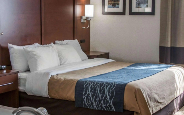 Comfort Inn Detroit/Warren Sterling Heights