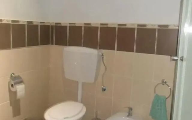 Central House Apartment