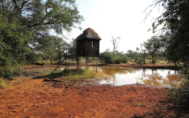 Zingela Nature Reserve - Leadwood Lodge