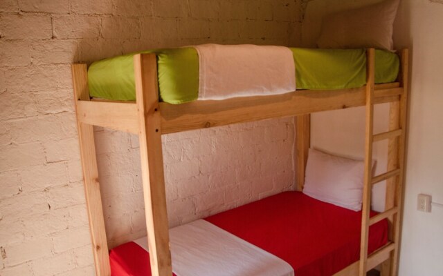 Alebrijes Surf House - Adults Only - Hostel