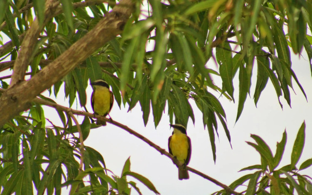 San Marcos 124 Gran Pacifica Resort