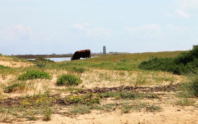 Apartamento Conil San Jose