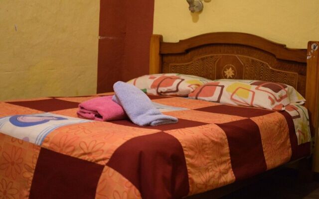 Secret Garden - Hostel