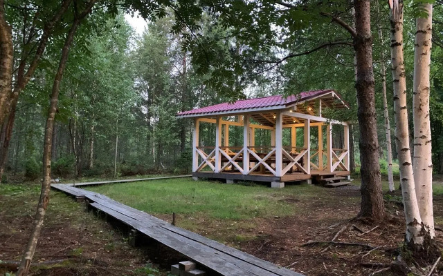 Вереск на локации Песчаный