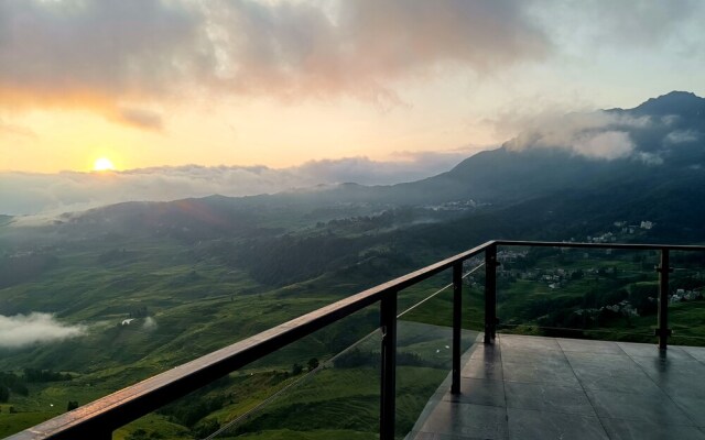 Plants and Flowers.YSTS