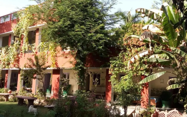 Hotel Sunbird by OpenSky