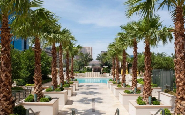 StripViewSuites at Signature