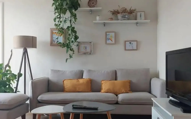 The Dekori Flat in Shkod r