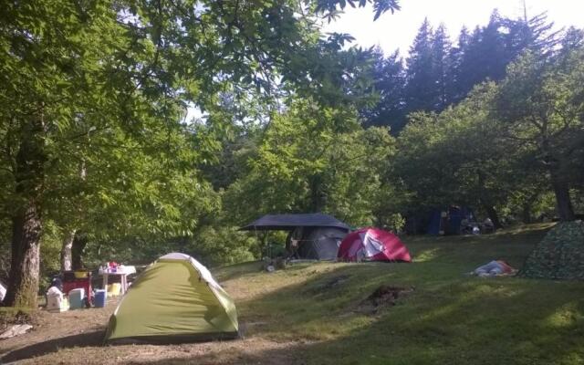 Camping Camaldoli