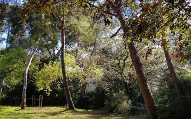 Appartement Six-Fours-les-Plages, 2 pièces, 4 personnes - FR-1-316-16