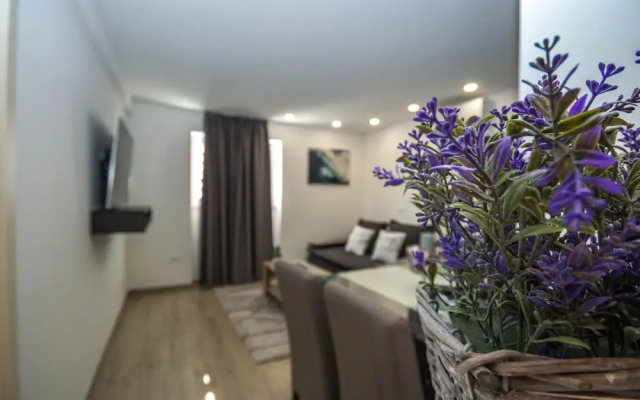 Amazing Apartments near Center & Beaches