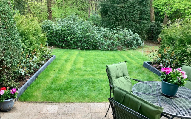 Wilde Moeflon, geniet van de vrije natuur!