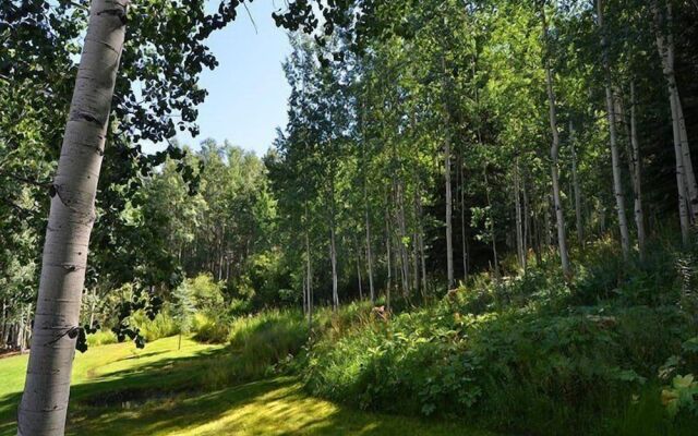 Meadow Brook Chalet