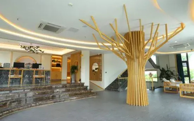 Nanshan Bamboo Sea Ann Diffuse cloud mu homestay