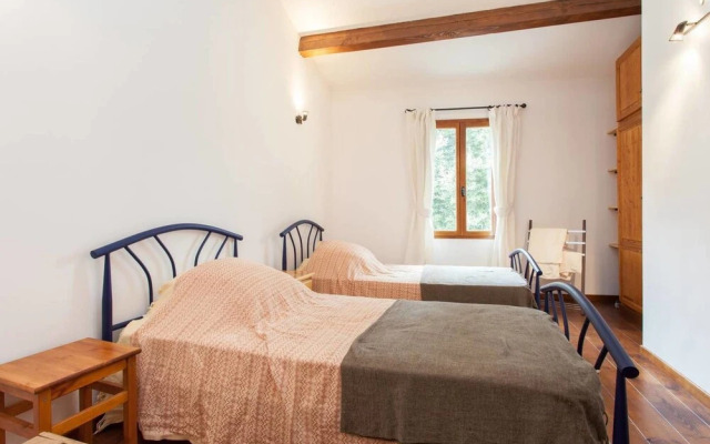 Hirondelle in Charming Village